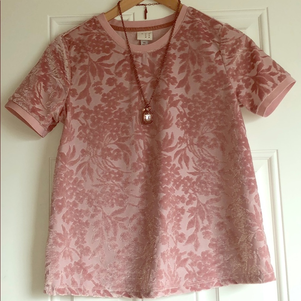 🍁NWOT Velvet Flowered Top Sz Xs
